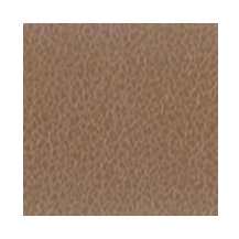 CAMOSCIO