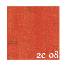 2C 08