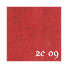 2C 09