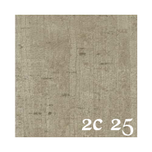 2C 25