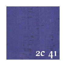 2C 41