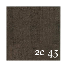 2C 43