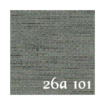 26A 101